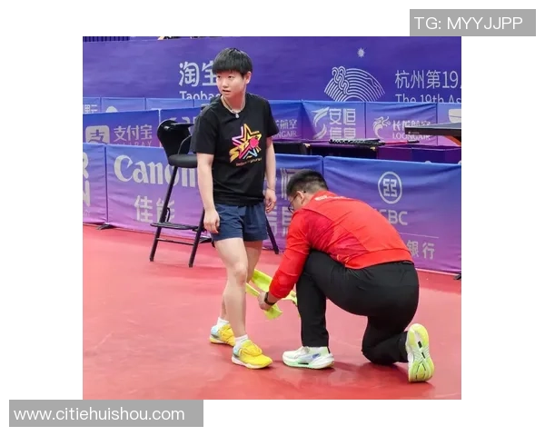 杭州乒乓球队在新老交替中的挑战与机遇分析